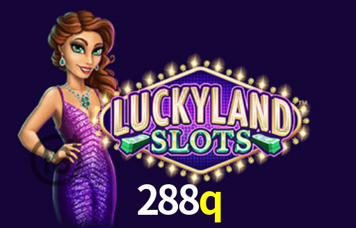 Premium Interface 288q